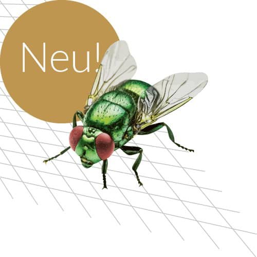 Fliegengitter-Profi, Stefan Megert