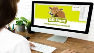 Logodesign: Der ultimative Leitfaden für ein perfektes Logo